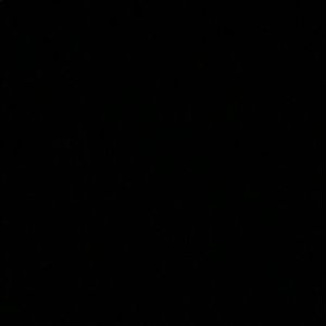 Meet your Posher, Abbey